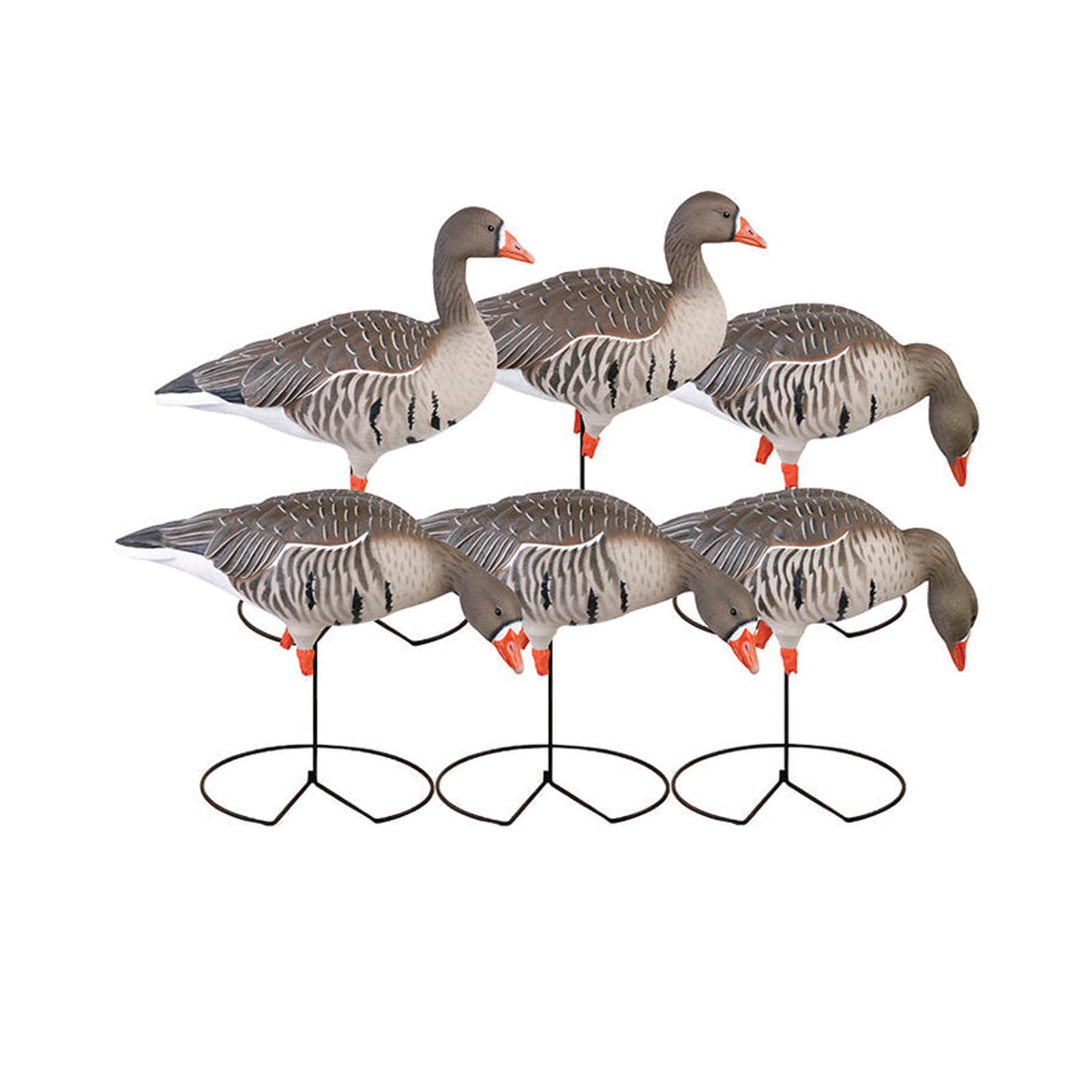 Avery GHG Pro-Grade Full Body Specklebelly Hand-Painted Waterfowl Decoys | Harvester 6-Pack | 4 Feeders and 2 Actives - 71852
