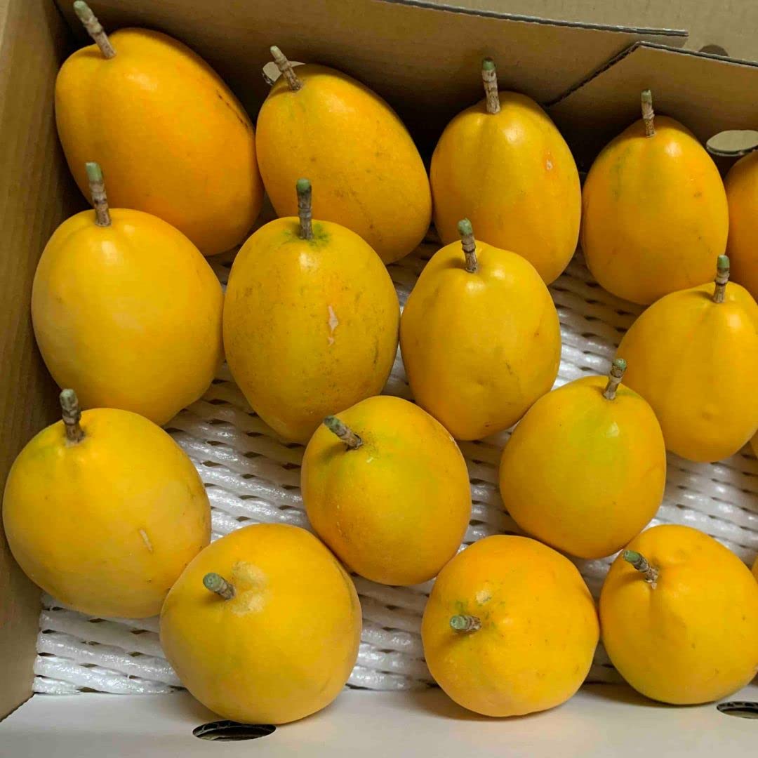 Amazon.co.jp: 沖縄県産 ミズレモン 1㎏(サイズ指定なし) 【入荷次第の