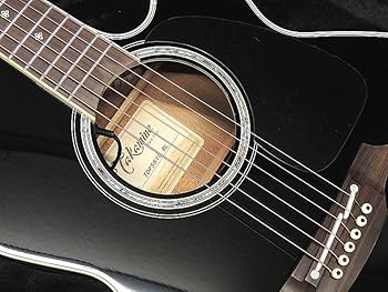 タカミネ コンタクトマイク Takamine タカミネ コンタクトマイク Takamine