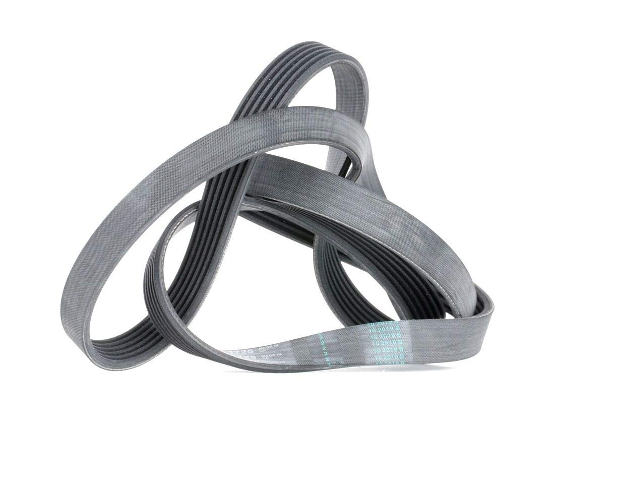 6PK1725 CONTINENTAL CTAM V-Ribbed Belt for ALFA ROMEO,AUDI,CHEVROLET,CITROËN,DAE