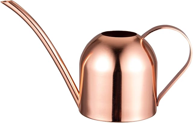 IMEEA Watering Can Indoor Stainless Steel Watering Can for Indoor Plants 15oz/450ml (Rose Gold)