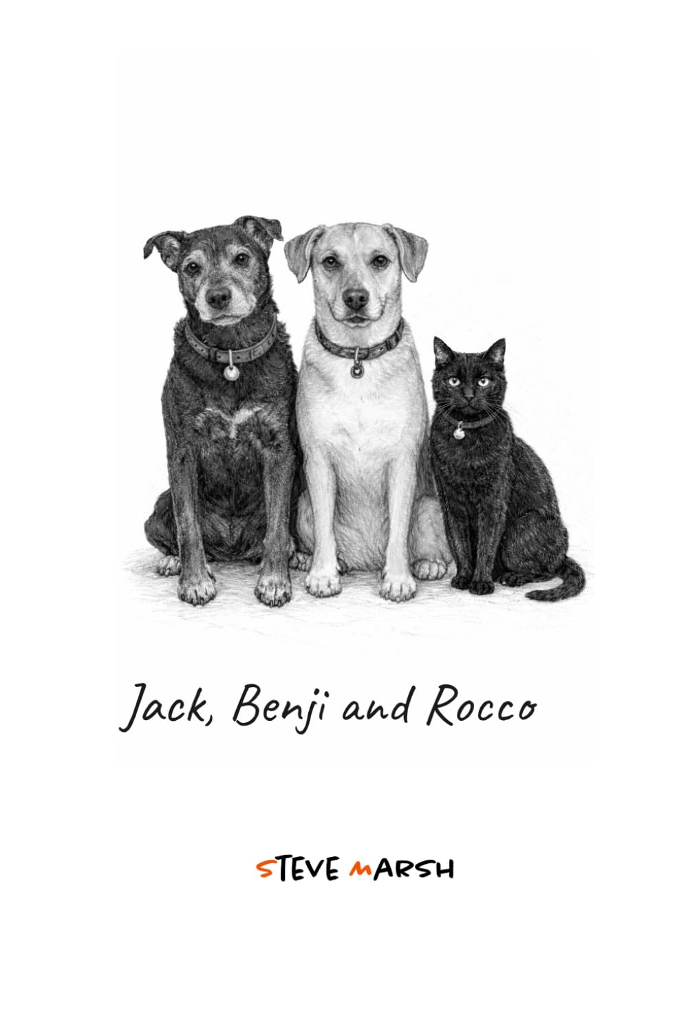 Jack Benji and Rocco by Steve Marsh PAPERBACK 9781763880559