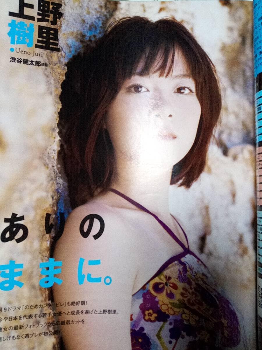 週刊プレイボーイDVD付き12冊セット 週刊プレイボーイDVD付き12冊セット 週刊プレイボーイ (12号) | 集英社