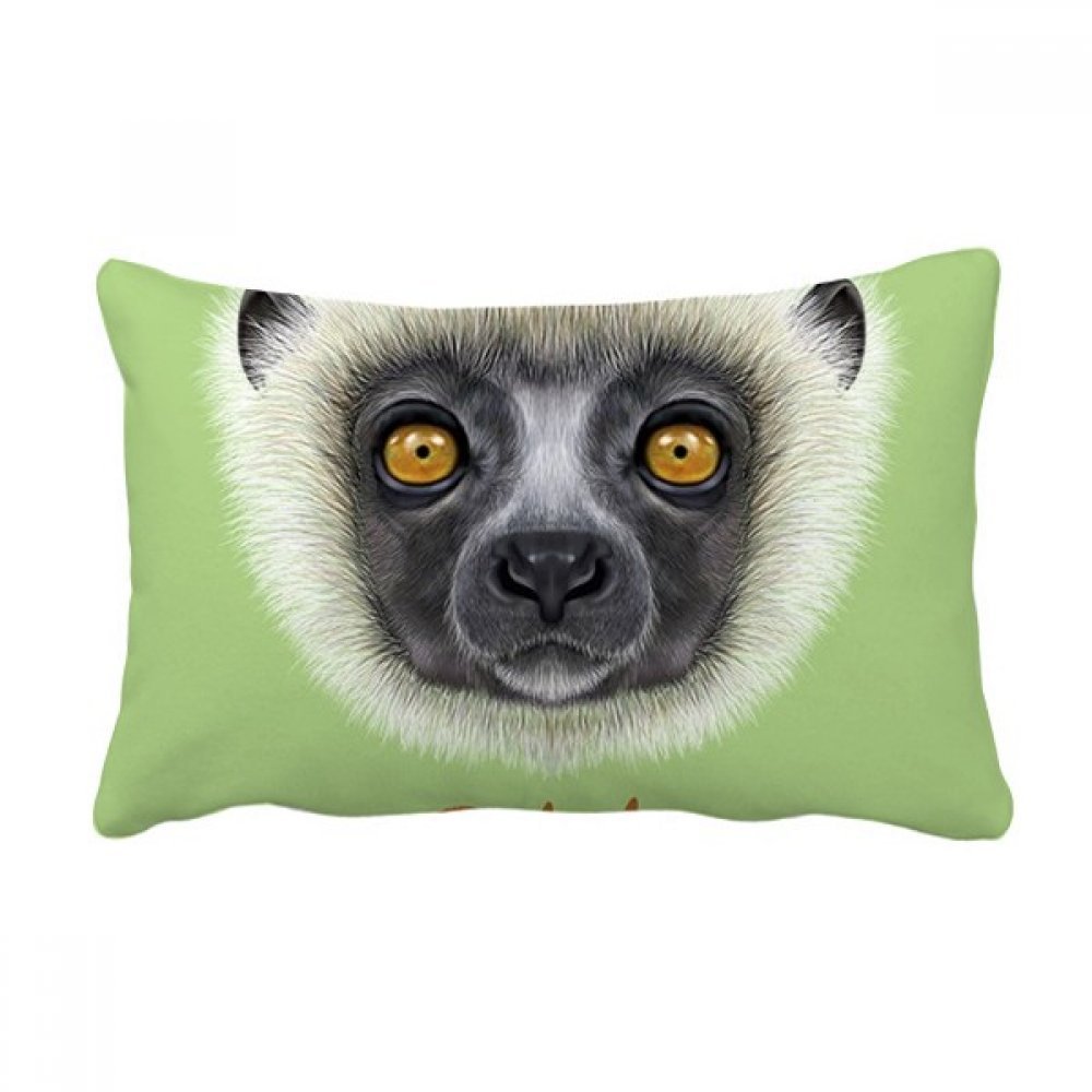 Coussin de canapé sifaka blanc haut de gamme oreiller décoratif multicolore 16x24 pouces
