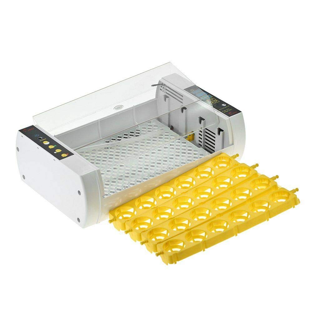 The incubator with the egg trays removed, showing the bottom grid and water channels.