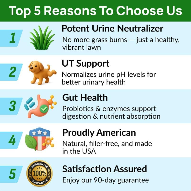PAWFECTCHEW Green Grass Dog Chews with Probiotics – Lawn Burn Support – Dog Urine Neutralizer for Grass – Pee Spot Control – Gut & Urinary Health – 240Ct