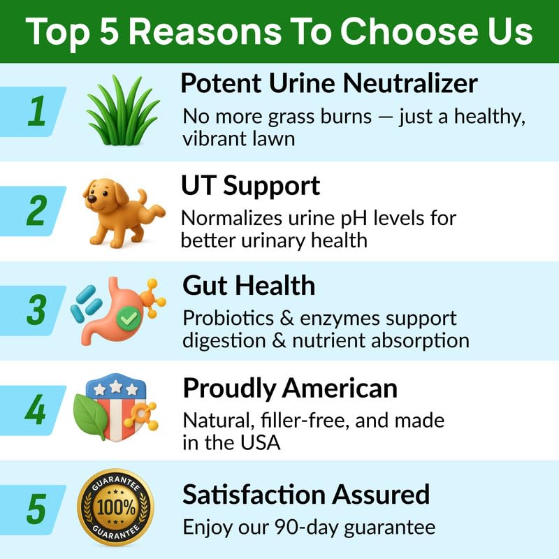 Image of PAWFECTCHEW Dog Pee Grass Chews - Grass Treatment for Pet Urine - Neutralizer for Green Grass Burn Urine Spots - Green Lawn Chews for Dogs with Probiotics - Made in USA (120Ct)