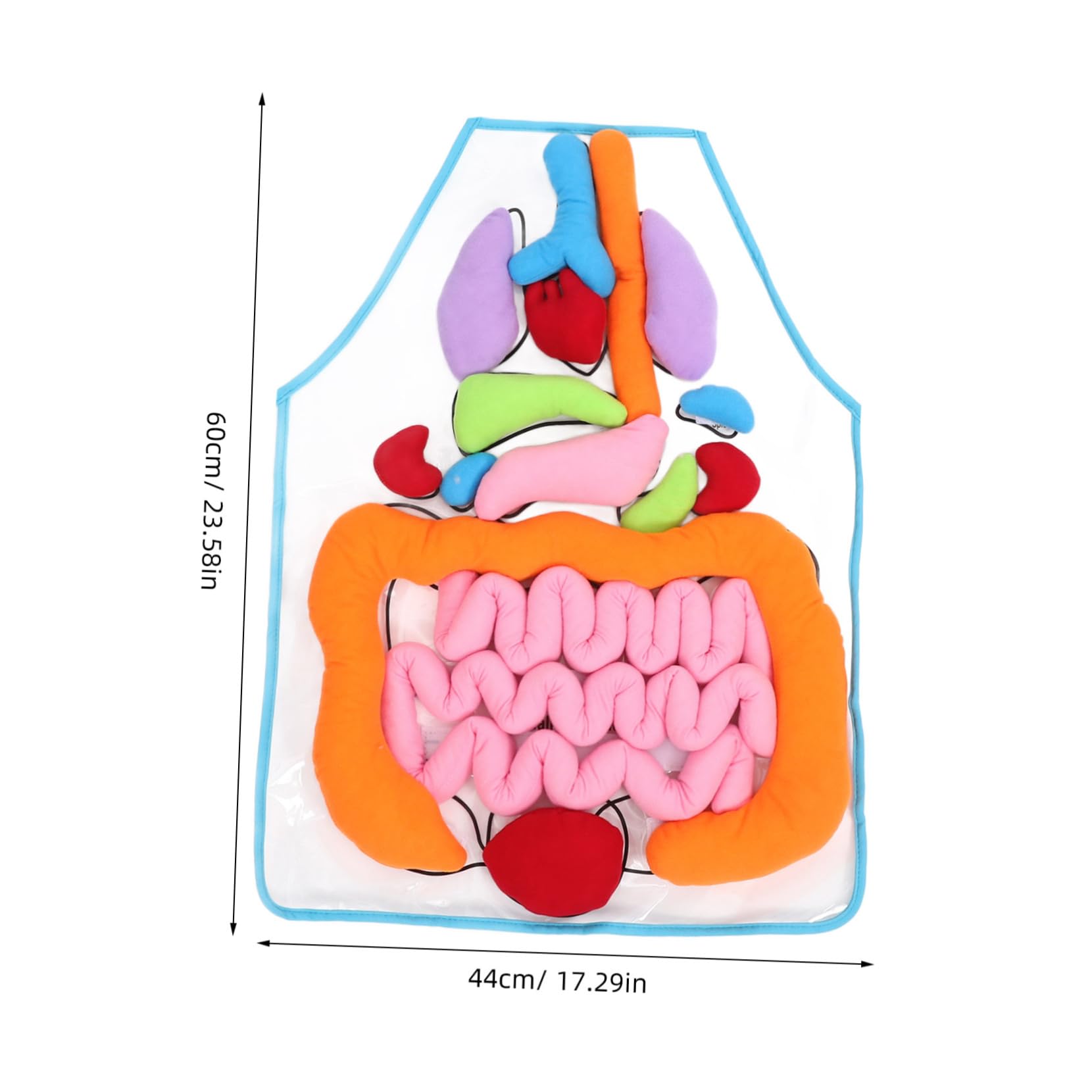 Delantal de Órganos del Cuerpo Humano en 3D para Niños Decoracion Colegio