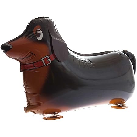 sausage dog image