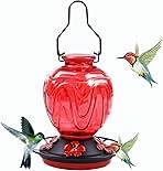 Glass Hummingbird Feeder for Outdoors Hanging, 24Ozs Humming Bird Nectar Feeder w/Perch, 5 Flower Feeding Ports, Leak Proof Base and Hook for Outside Garden Backyard Decor, Gifts for Women Mom, Red