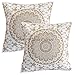 Stylo Culture Housses de Coussins décoratifs Indiens Or imprimé Floral Throw Coussin Couvre Coton carré Traditionnel Mandala Ombre 40x40 cm Housse de Coussin (Lot de 2)