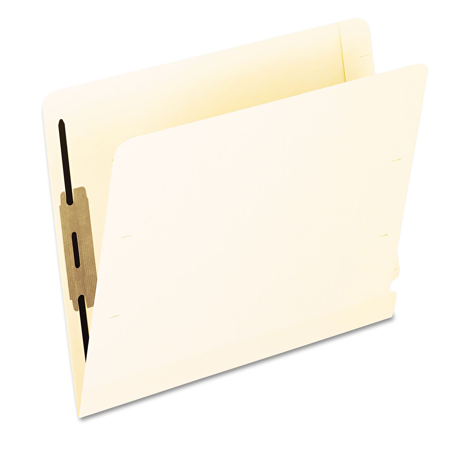 Pendaflex Cartelle di file (PFX13160)