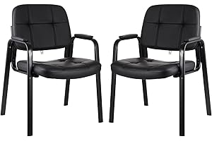 CLATINA Set of 2 Office Chairs