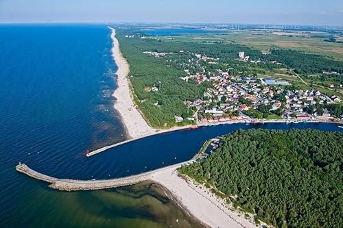 Bałtycki Morski niedźwiedź