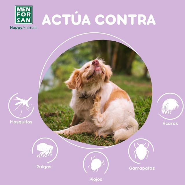 Foto 4 de 7 de MENFORSAN Spray Anti-Insectos Repelente para Perros, con 2 Activos Naturales: Geraniol y Lavandino