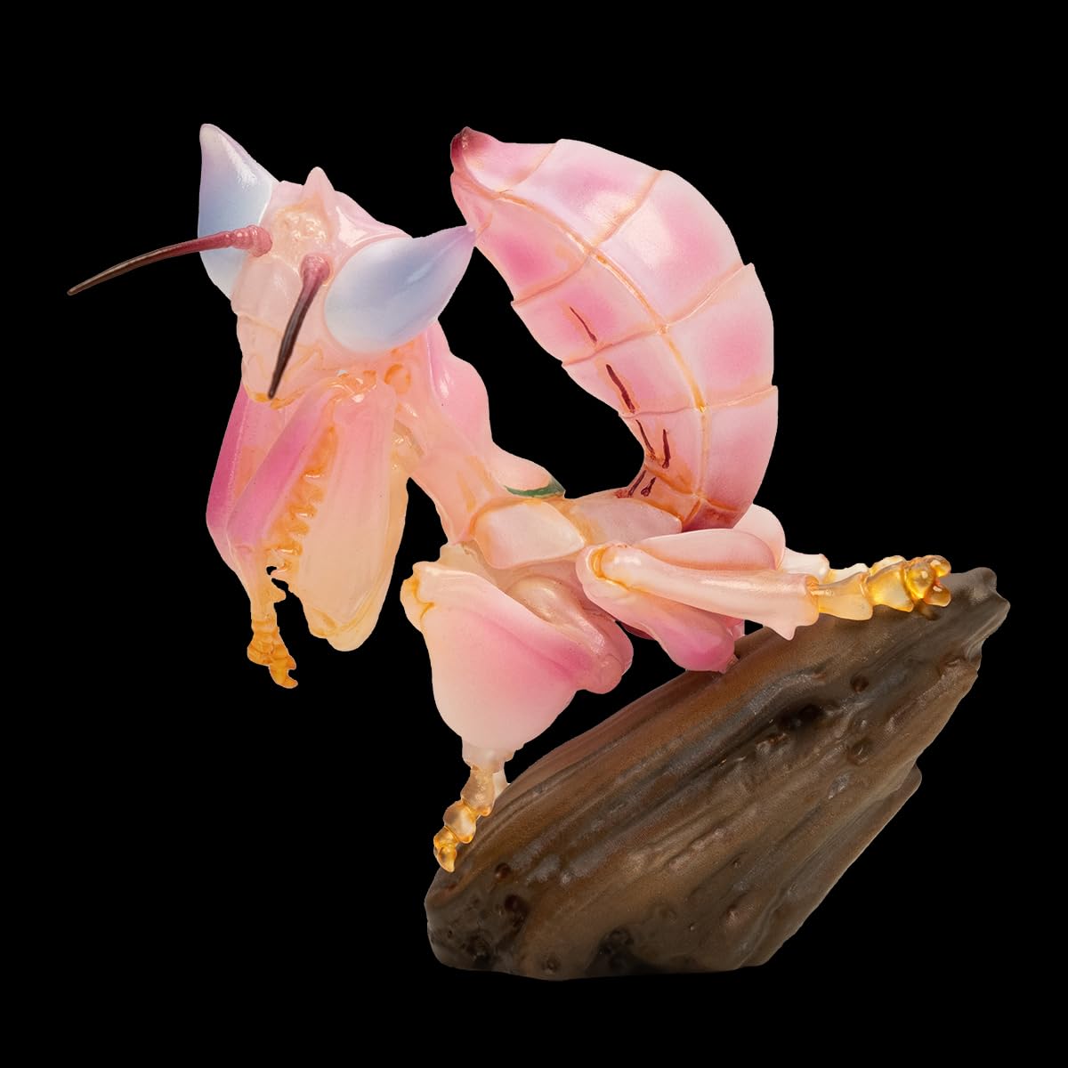 Amazon.com: IFiDEA Animal Heavenly Body Series 11 Insect Chubby