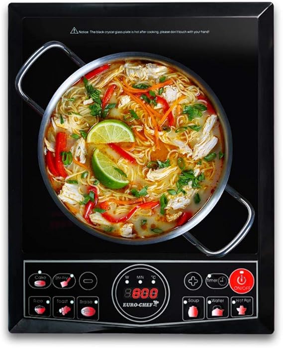 EuroChef 2000W Portable Electric Induction Cooktop Small Kitchen