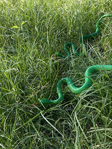 Hohajiu Fake Snake Toy Rubber Realistic Snake Toy 10 Pcs Lifelike Snake Toy Gag Gift For Halloween, April Fool’s Day Party Decroation #TOP2