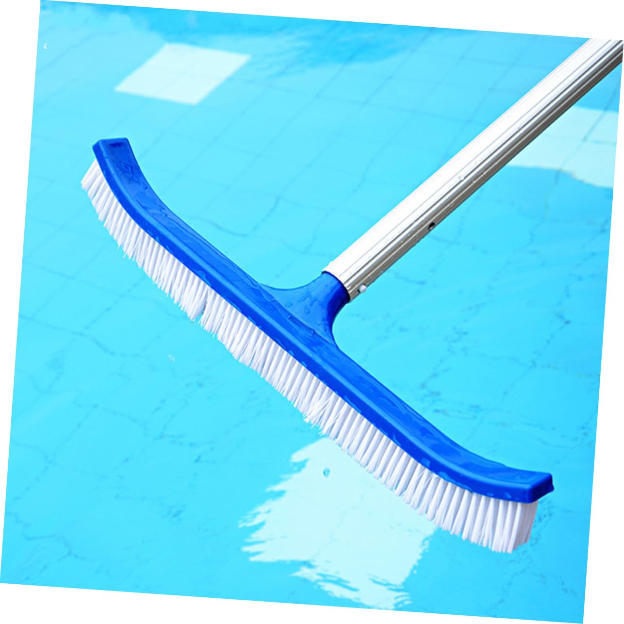 YARNOW 2pièces Brosse De Nettoyage pour Piscine Outil De Nettoyage De Parois De Piscine Et Étang Efficacité Élevée pour Fonds Et Murs