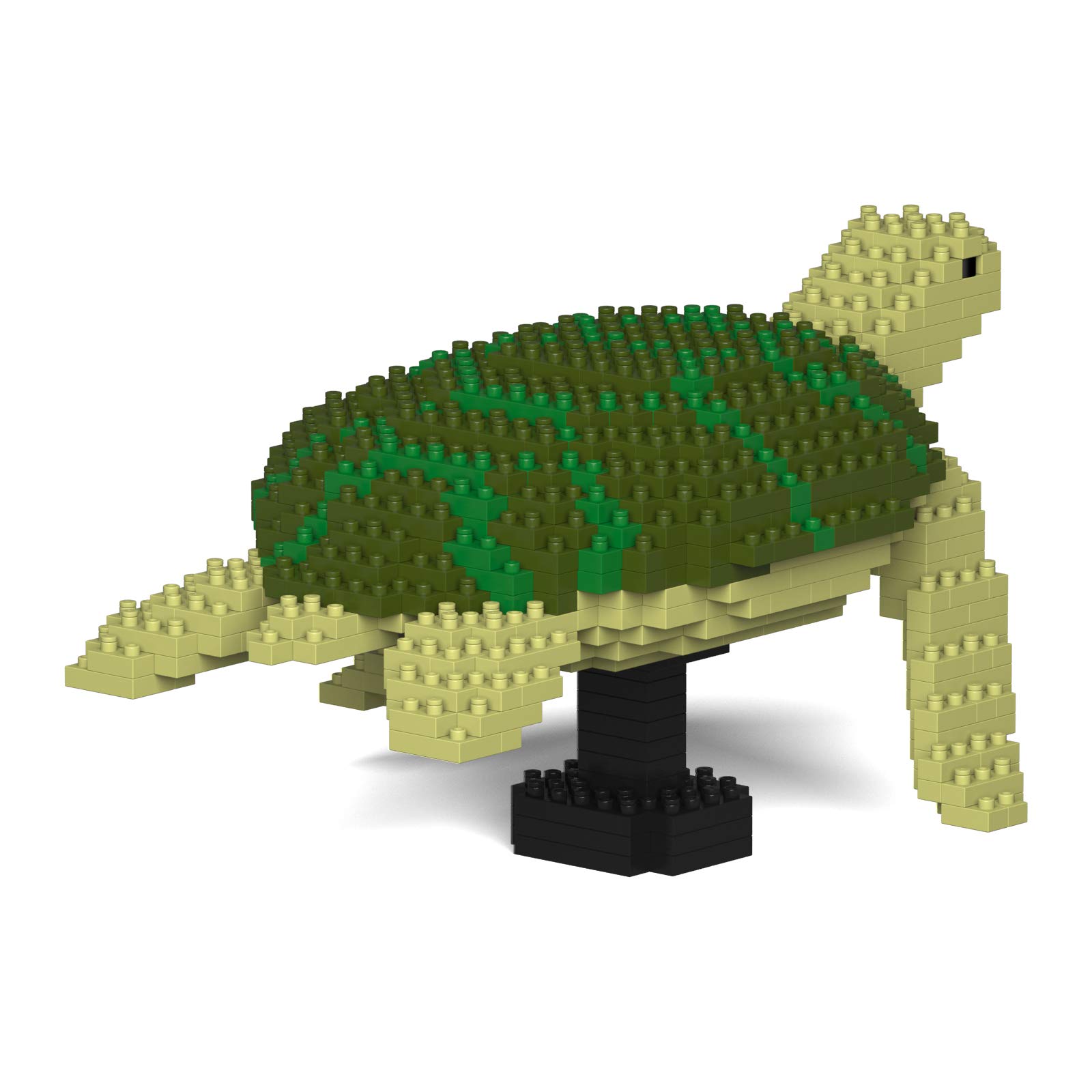 JEKCA Sea Turtle 01S-M02, Green, Medium - Image 4