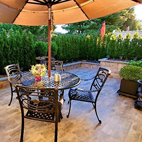 One 6 Foot Outdoor Artificial Cedar Topiary Tree Potted Uv Rated Plant Silk Tree Warehouse Company Inc (6 Foot) #TOP4