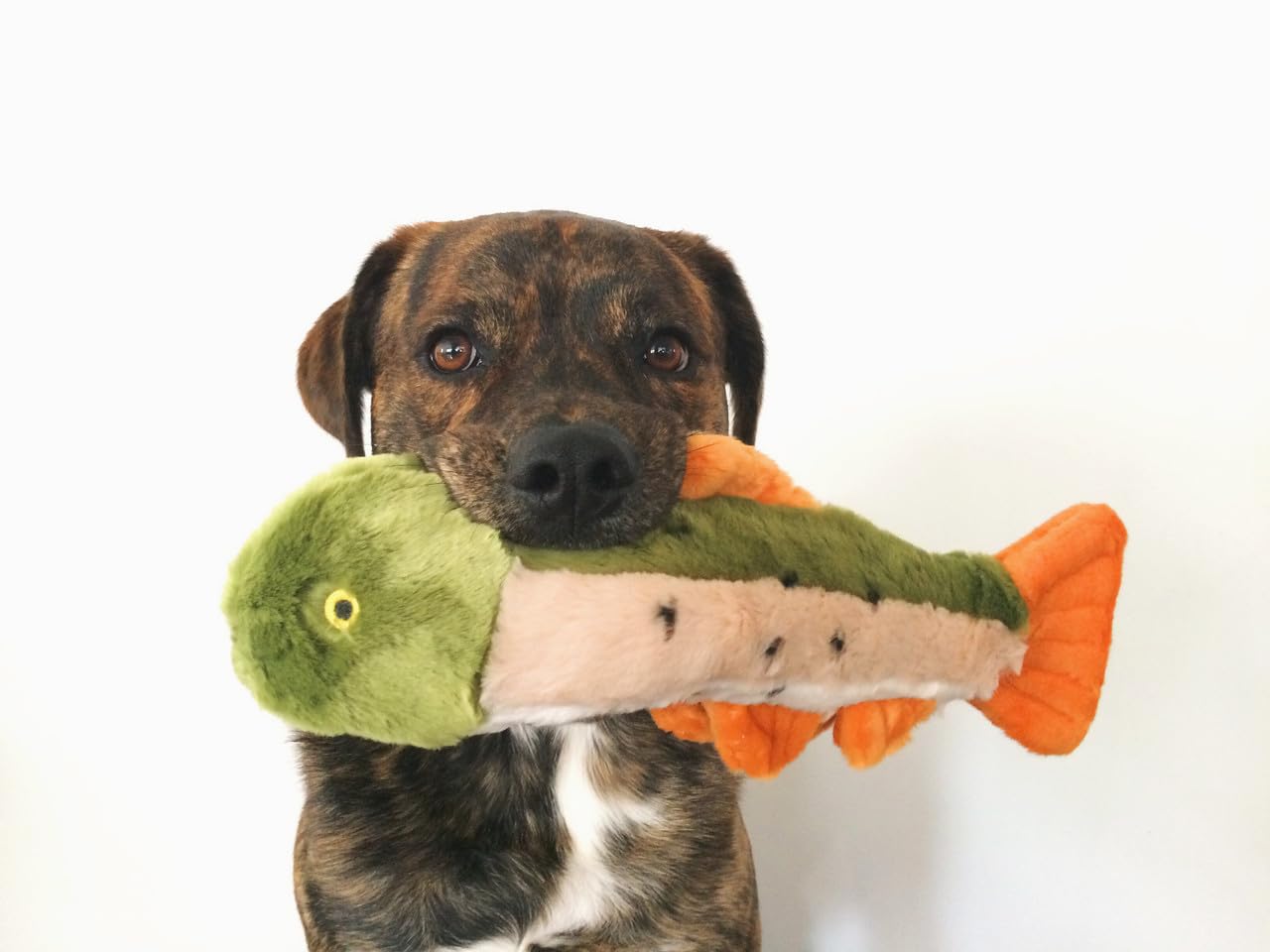 Fluff & Tuff Ruby the Rainbow Trout Plüsch-Hundespielzeug, 2 Stück, 35,6 cm, langlebig, gefüllter Fisch, Hundespielzeug mit Quietscher, doppelt genäht und verstärkt für interaktives Spielen