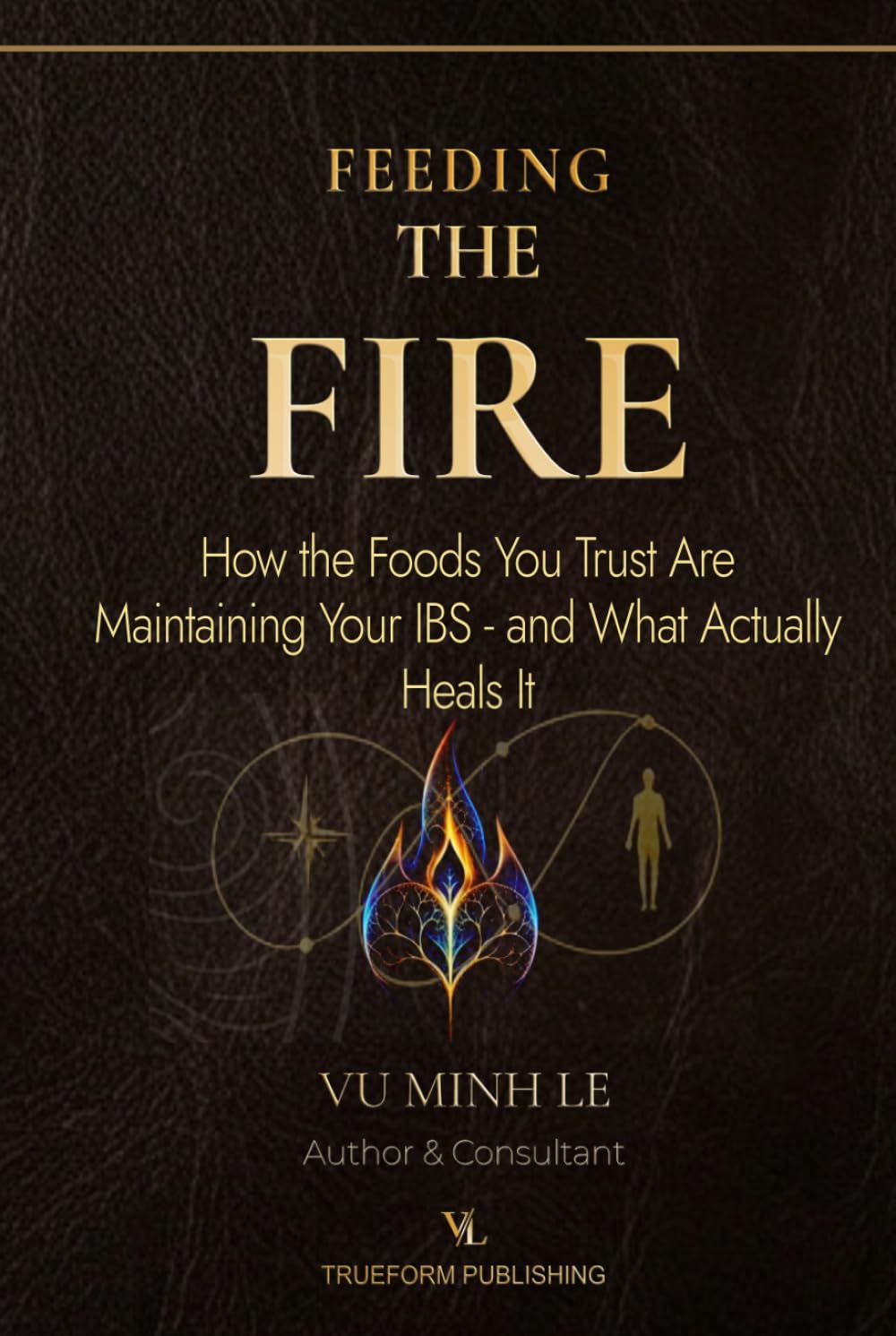 Feeding The Fire: How the Foods You Trust Are Maintaining Your IBS — and What Actually Heals It