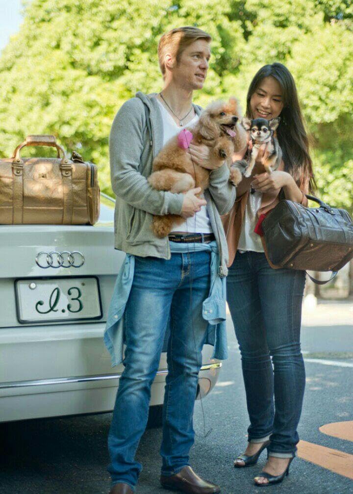 高級ペットキャリーバッグ アイドットスリー Mサイズ 高級ペット