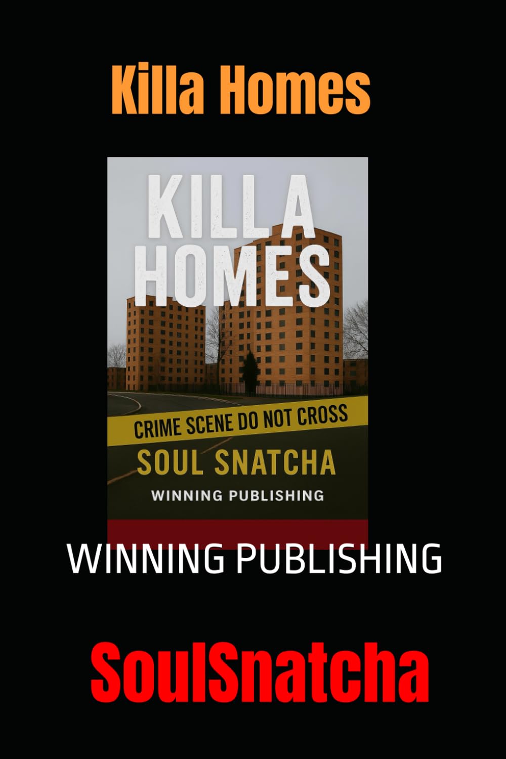 Killa Homes: Killa Homes (Dynasty/ KIlla Homes/ UndaGround/ DoubleEdge Sword)