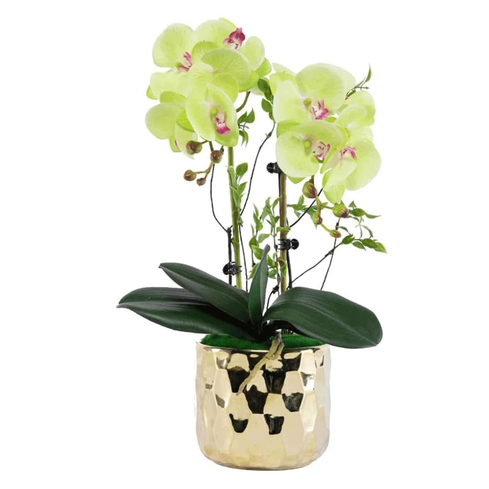 DFGHNBVC Artificial Orchid Orchids Artificial 18.89 In Artificial Flowers In Gold Porcelain Pot Artificial Phalaenopsis Flowers Decor Artificial Orchid Very Natural.Green