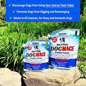Natures Mace Dog Repellent 25 Lbtreats 1400 Sq Ft Keep Dogs out of Your Lawn and Gardenstop Dogs Diggingdog Granulessafe to Use Around Children Plants Cucciolini Doodles Natures mace dog repellent 2 5 lbtreats 1400 sq ft keep dogs out of your lawn and gardenstop dogs diggingdog granulessafe to use around children plants cucciolini doodles