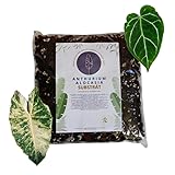 Anthurium- und Alocasia-Mix 1L – Premiumsubstrat für Tropische Pflanzen