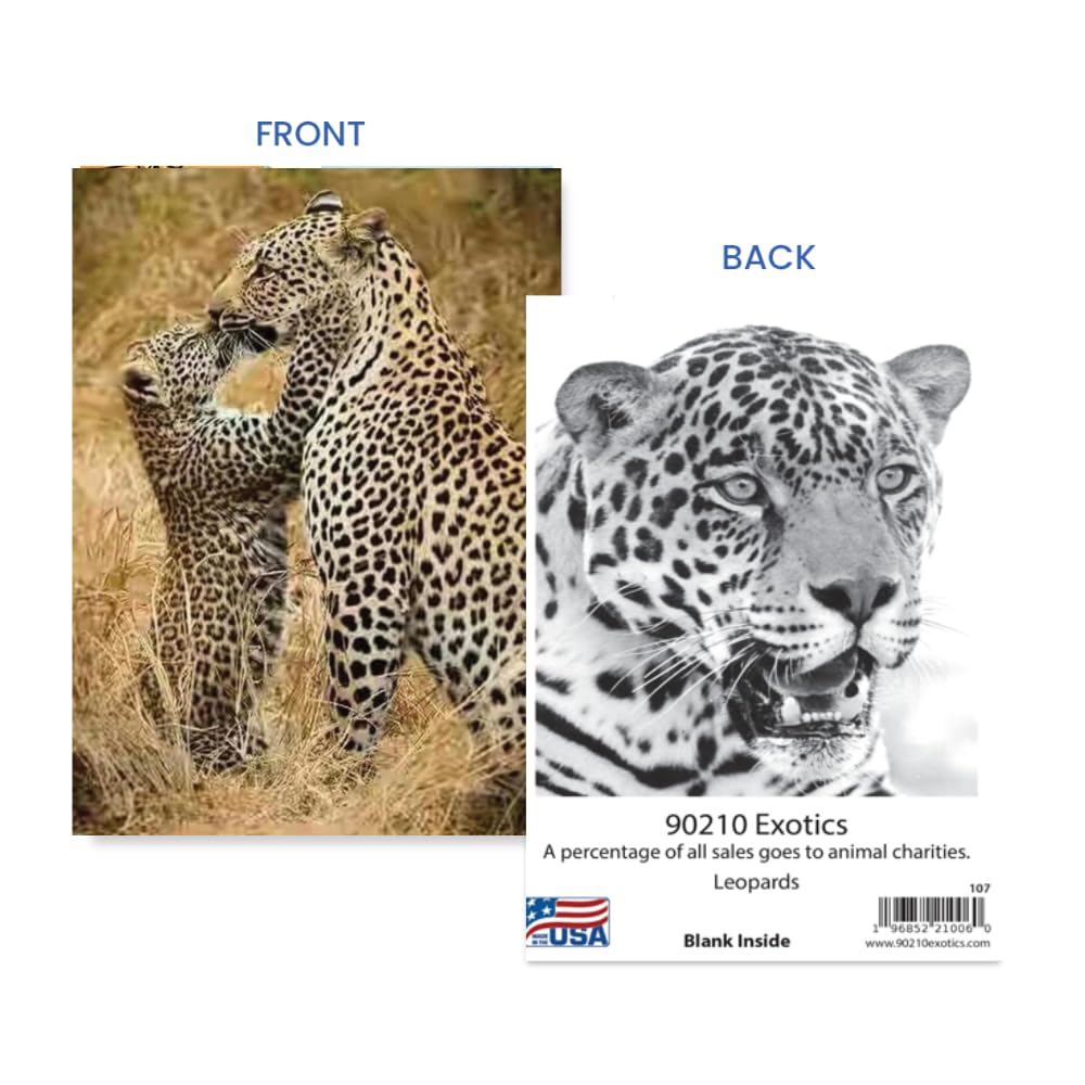 Tarjeta de felicitación con temática de naturaleza animal, tamaño más grande con imagen trasera e interior en blanco, tarjeta única para el día de la madre para colecciones de amantes de