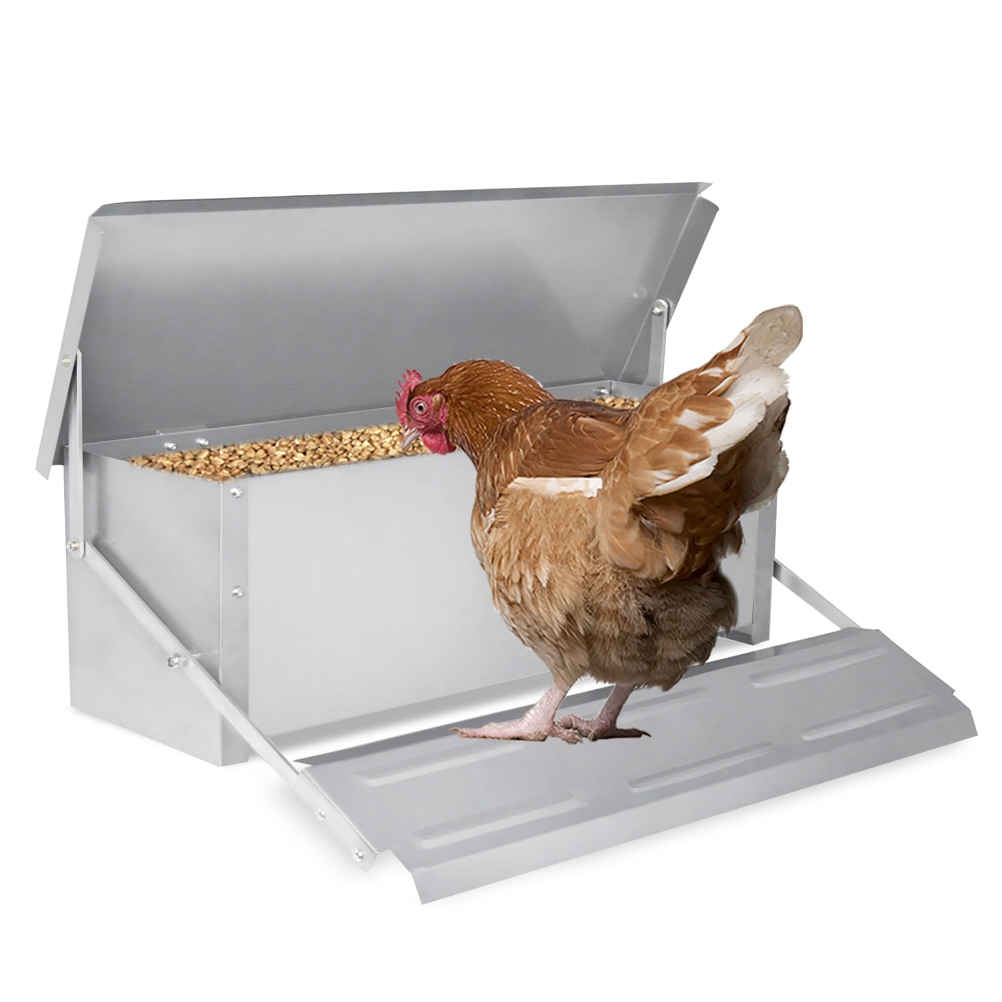 NAIZY Comedero automático para gallinas, 10 kg, capacidad de 10 kg, comedero de pollo de aleación de aluminio con pedal automático, comedero para aves de corral