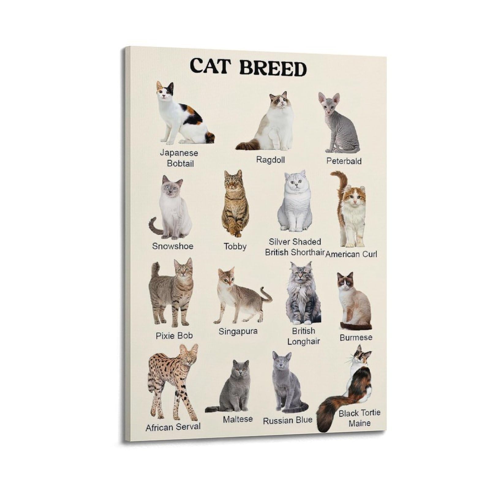 ESTE Cute Animal Poster Cat Breeds Artwork Decorative Painting Canvas Modern Art Picture 24x36inch(60x90cm)