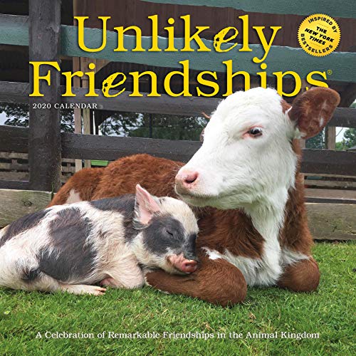 Unlikely Friendships Wall Calendar
