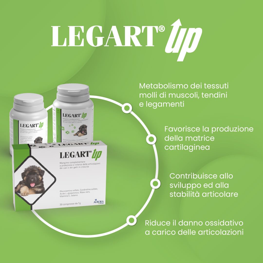 Aurora Biofarma Legart Up 120 Compresse - Mangime complementare per cani per utile per la protezione ed il rinforzo della normale funzione articolare.