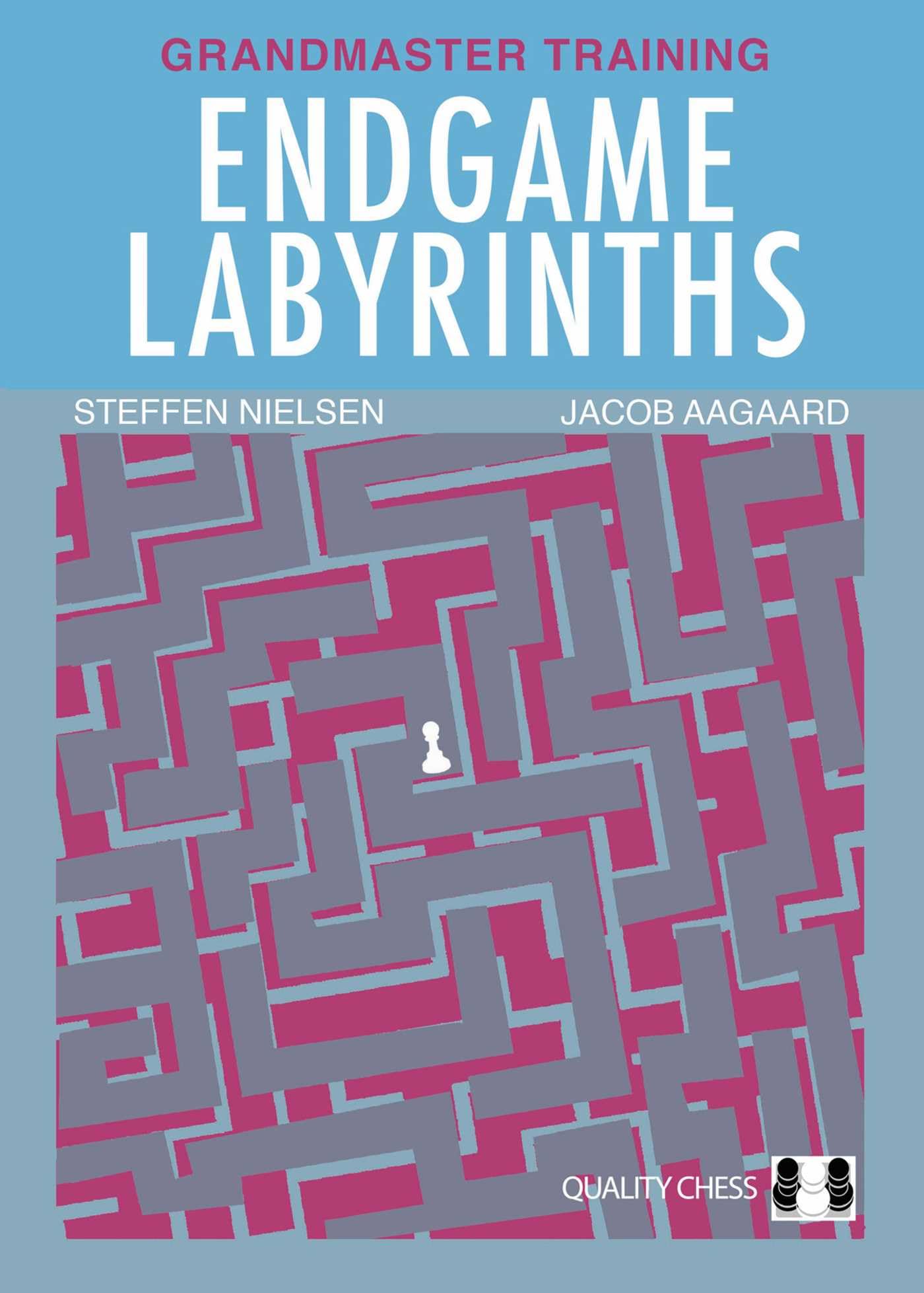 Endgame Labyrinths (Grandmaster Training). Aagaard 9781784831523 New**