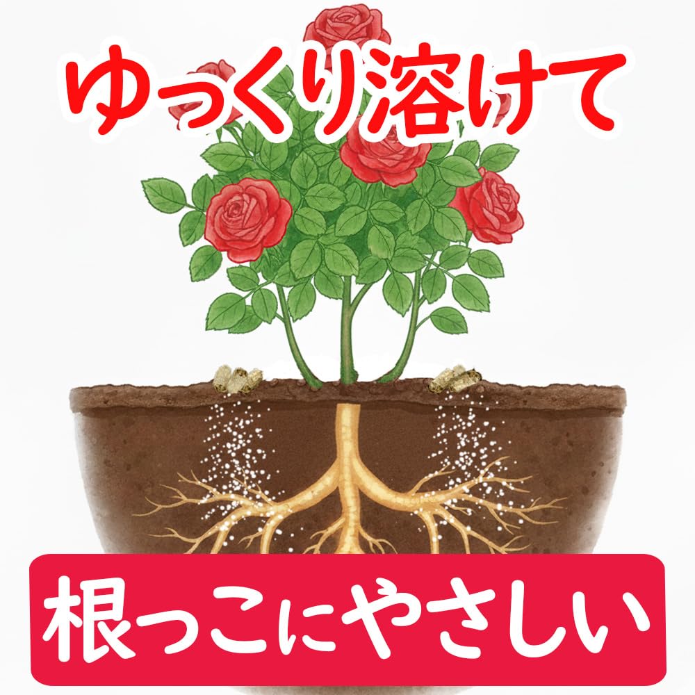 Amazon | 花ごころ バラの肥料 生産者が使う本物 1.8kg | 液肥・活力剤