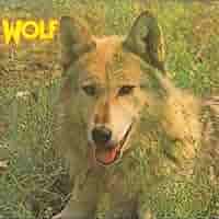 Canis: Lupus by Darryl Way's Wolf (2008-11-26) - Amazon.com