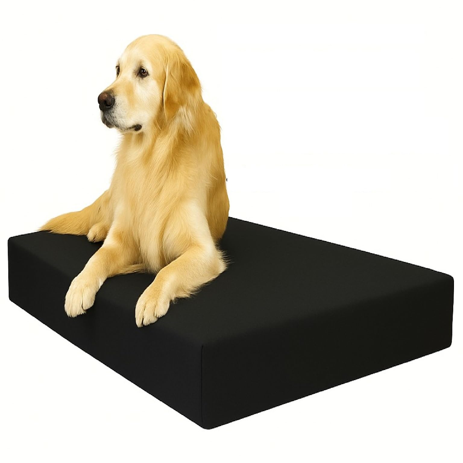 FOAMSUPA Heavy Duty Pet Dog Bed Mattress Mat Cushion with Tough Waterproof cover (Black, Medium 75cm x 52cm x 5cm – 30″ x 20″ x 2″)