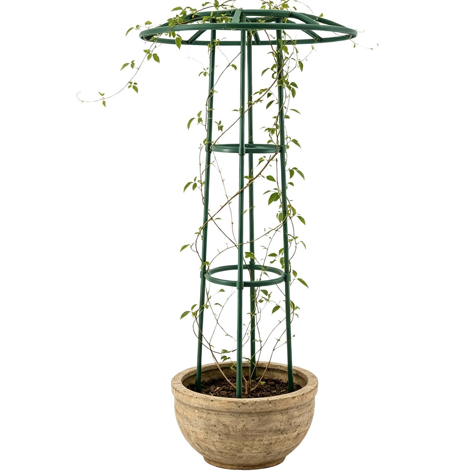 Traliccio da Giardino per Piante Rampicanti Supporto Floreale A Forma Di