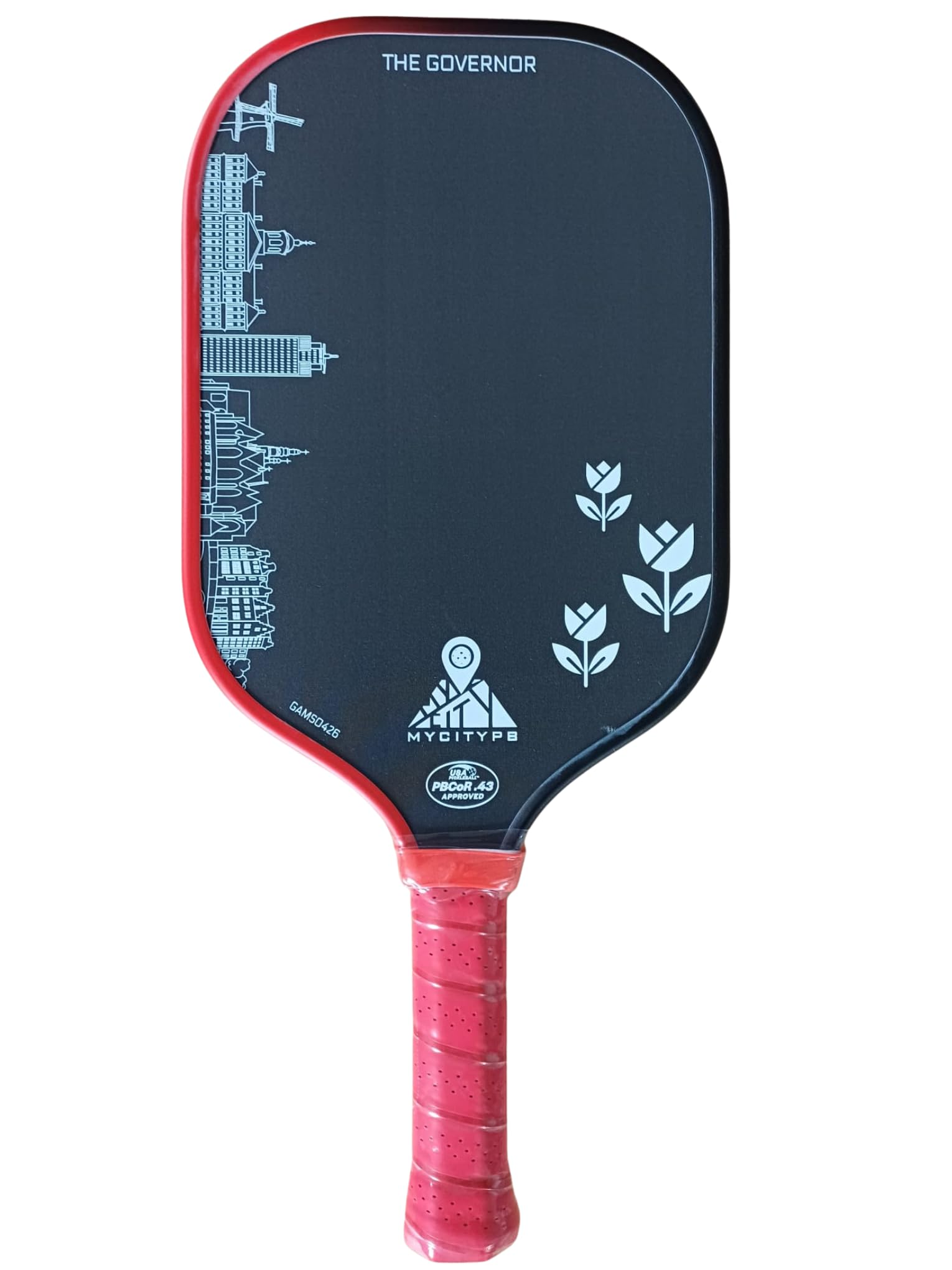 Rakieta Pickleball Governor Amsterdam Edition, certyfikat USAP, 42 x 18 cm, uchwyt 14 cm, włókno surowe + włókno szklane, 237-245 g, rakieta z rdzeniem o strukturze plastra miodu 16 mm