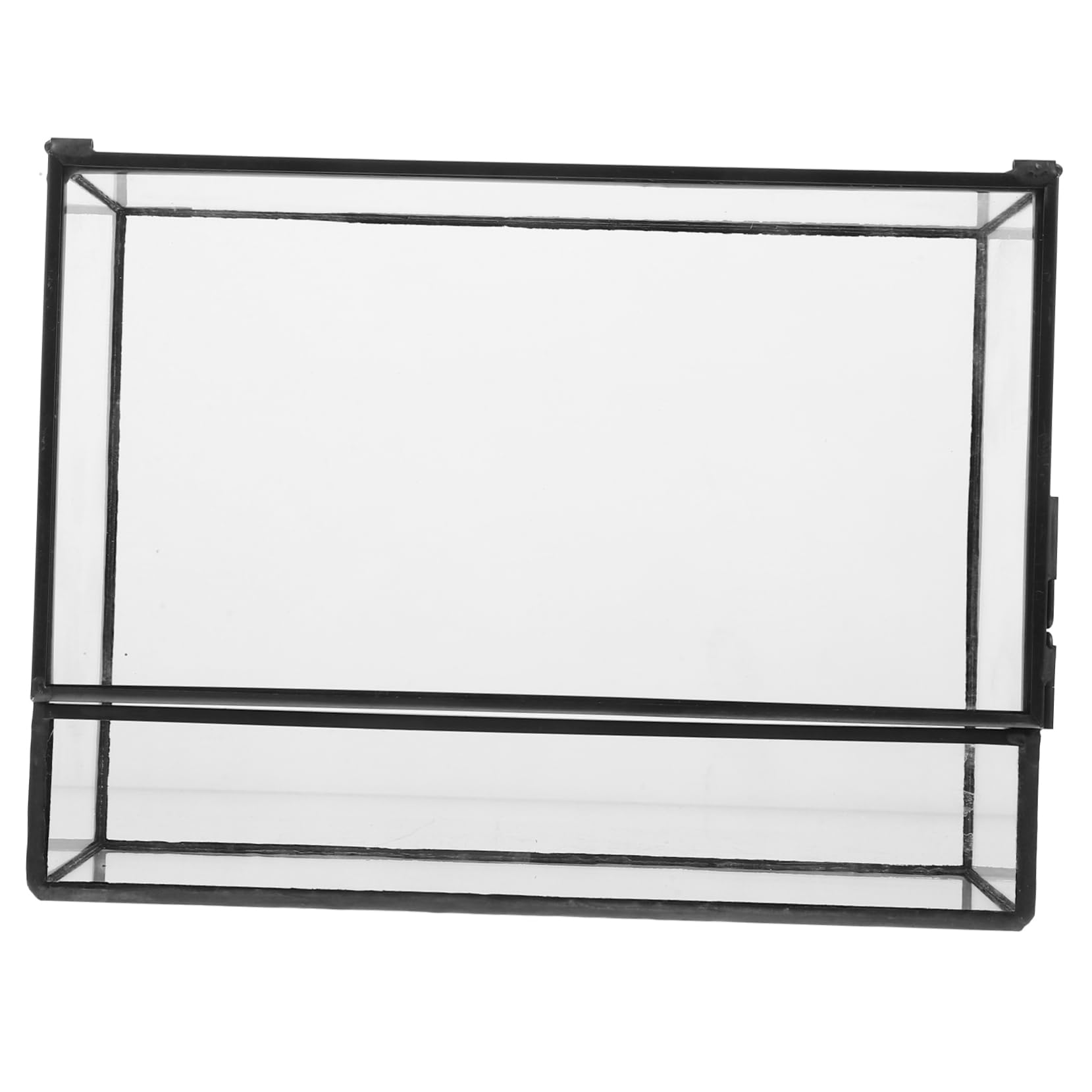 Terrario Pequeño Geométrico de Vidrio para Plantas | Recipiente Decorativo de Estaño, Cuerpo Transparente, Fácil de Limpiar, Adecuado para Musgo y Bricolaje