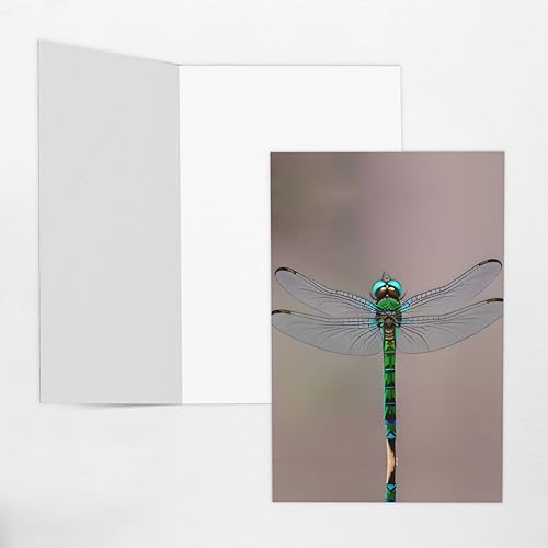 Miniatura 5 de NEZIH Tarjetas de agradecimiento con estampado de libélula, tarjetas de agradecimiento para todas las ocasiones, Navidad, cumpleaños, aniversarios