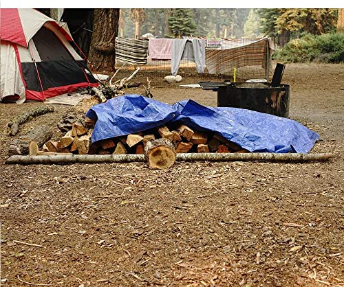 Image of Grizzly Tarps by B-Air 20' x 30' Large Multi-Purpose Waterproof Heavy Duty Poly Tarp with Grommets Every 36 inch, 8x8 Weave, 5 Mil Thick, for Home, Boats, Cars, Camping, Protective Cover, Blue