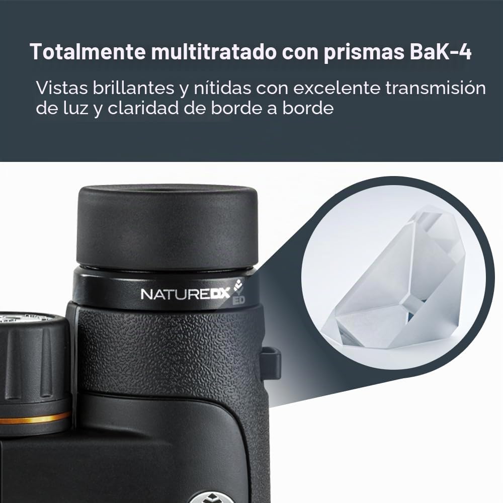 Celestron 72336 Nature DX ED 12x50: prismáticos con lentes objetivo con dispersión baja, exteriores y aves, revestimiento múltiple completo y prismas BaK-4, carcasa revestida resistente al agua y vaho