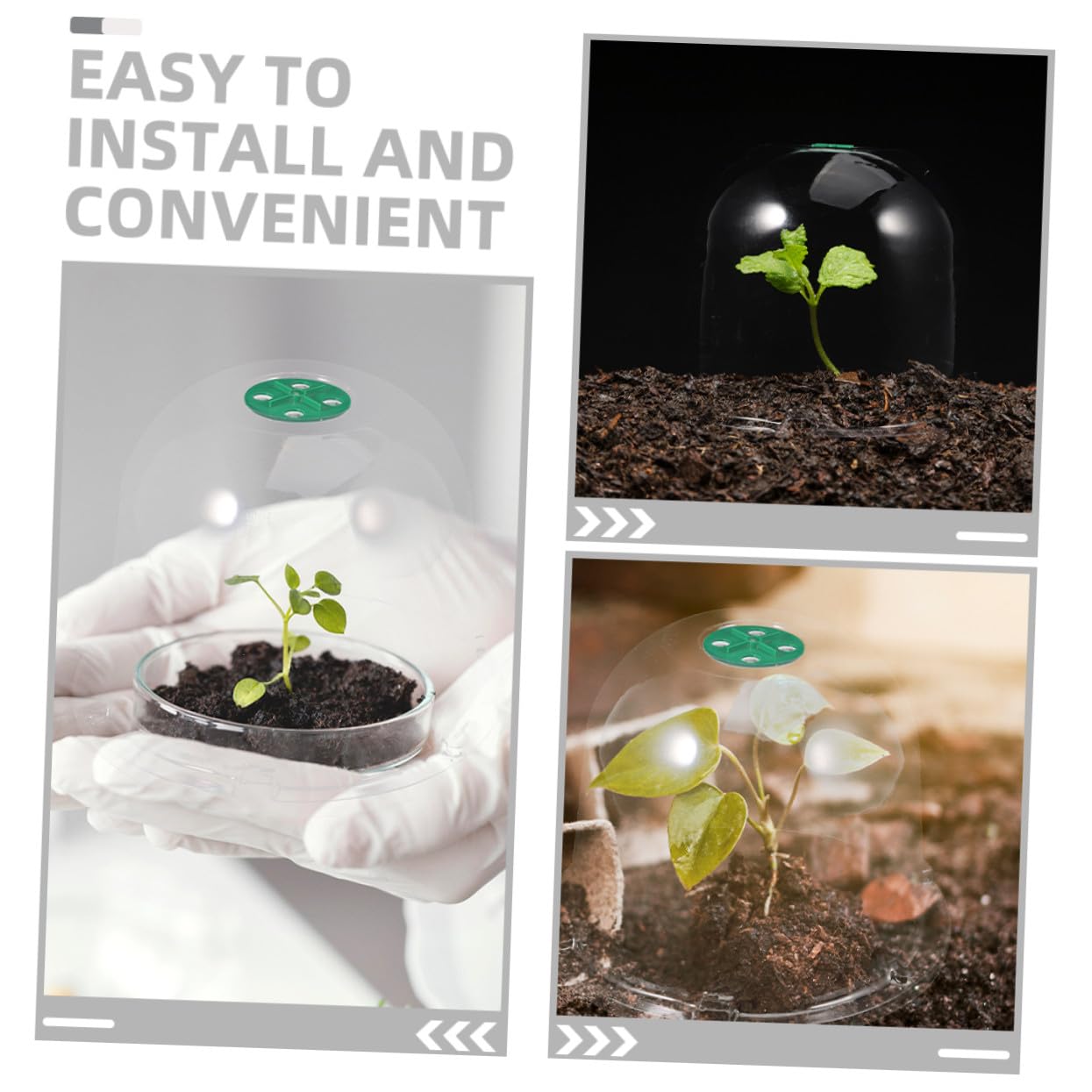Yardenfun 3 Stück Mini Gewächshaus Pflanzkuppel aus Robustem Pet Material Transparente Pflanzenhaube für Anzucht Frostschutz und Schutz im Garten Vielseitig als Garten Cloche für Blumen