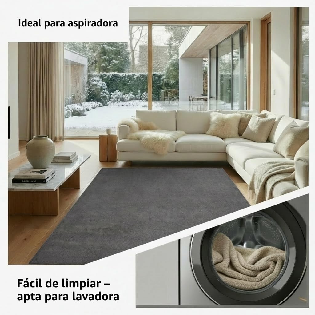 Jimri Alfombra mullida de Pelo Corto de para el hogar, Oficina, Cocina, Entrada, Pasillo, Sala de Estar, Lavable a máquina, Antideslizante, Lavable - Antracita, 200 x 280 cm