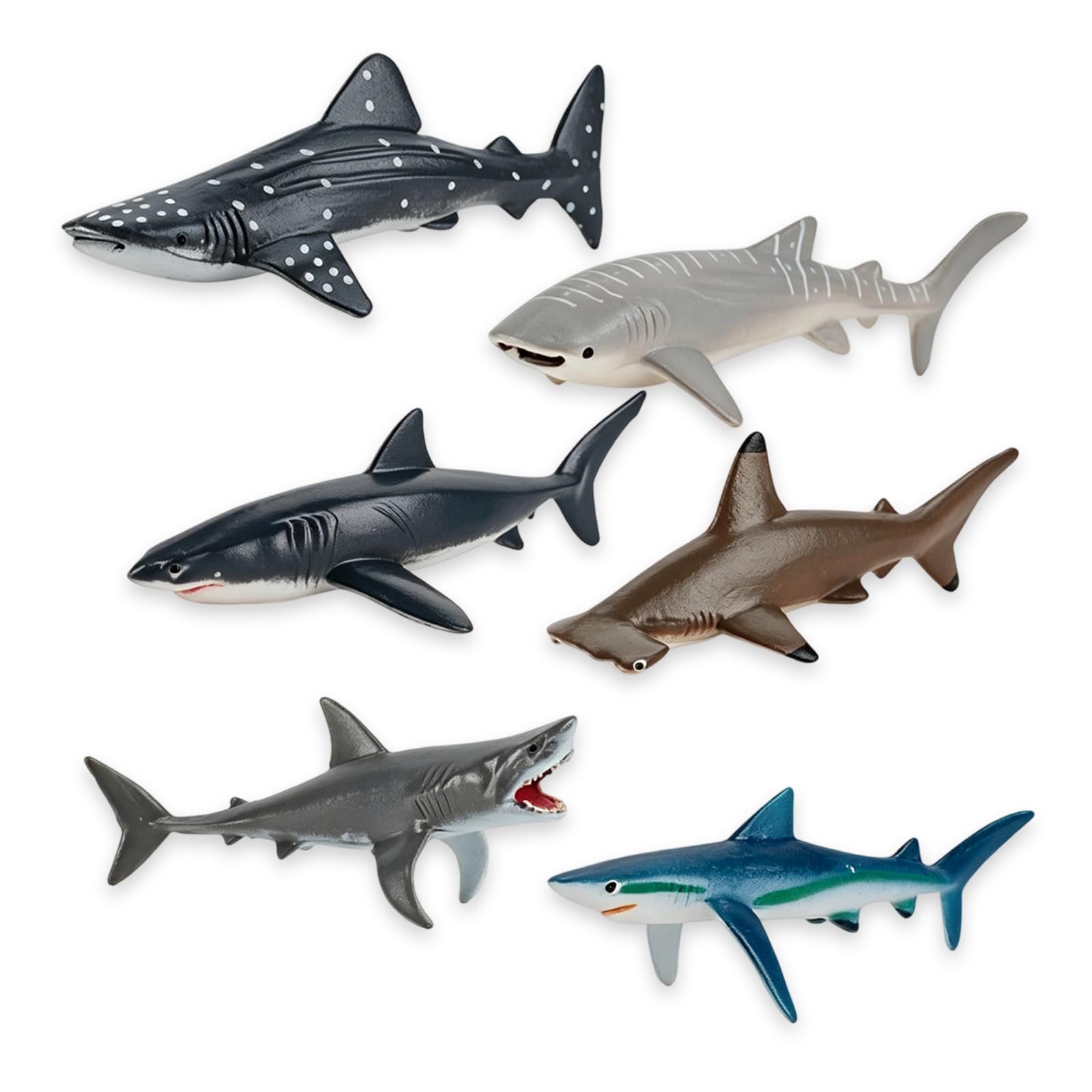 Rndqw 6Pcs Shark Toy, Smooth Edged Shark Bath Toy, Exquisite Details and Practical Whale Sharks, Suitable for Marine Animal Collectors, and Marine Knowledge Education, Shower, Gift